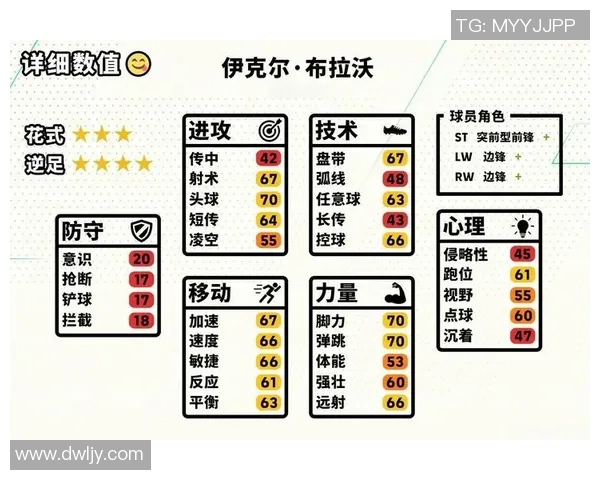 足球明星号码46的传奇之路与背后故事揭秘