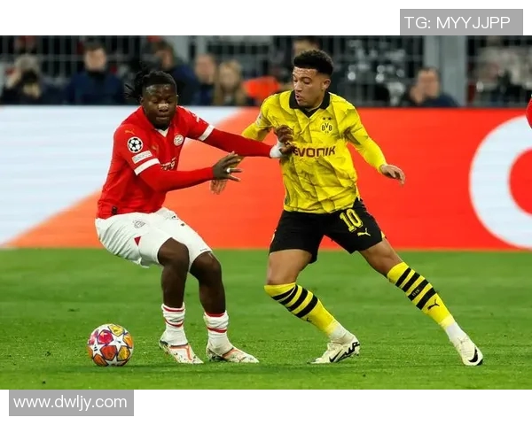 多特蒙德足球明星的辉煌历程与未来展望解析